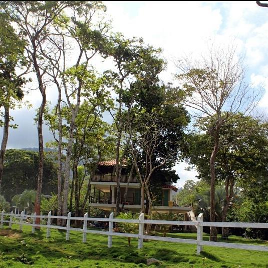 Bed and Breakfast Cabana Pura Vida Acandí Exteriér fotografie